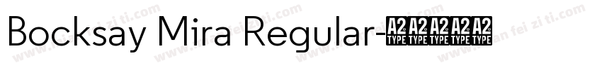 Bocksay Mira Regular字体转换